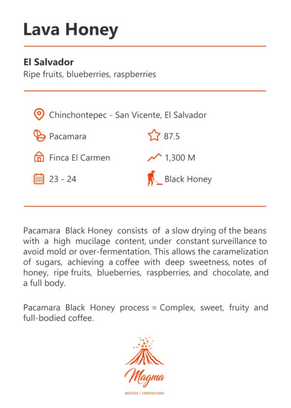 inf Pacamara Black Honey