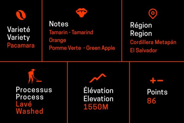 IMG-20250918-WA0088 Pacamara Washed