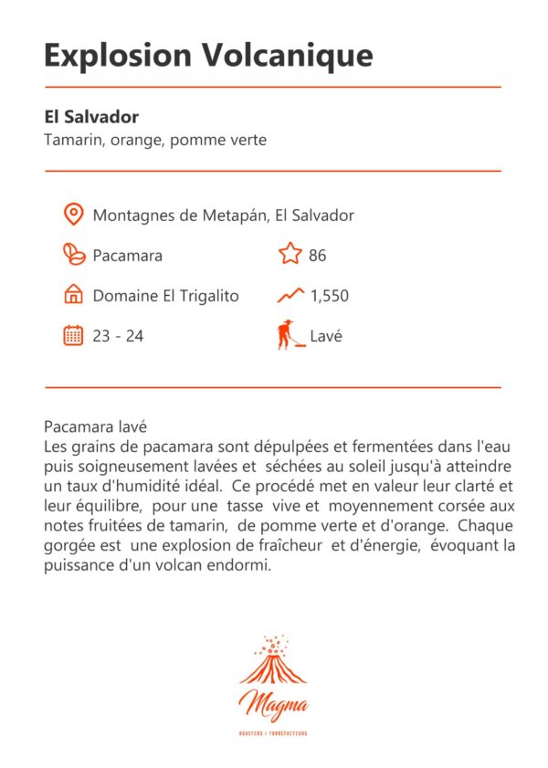 IMG-20250923-WA0014 Pacamara Washed