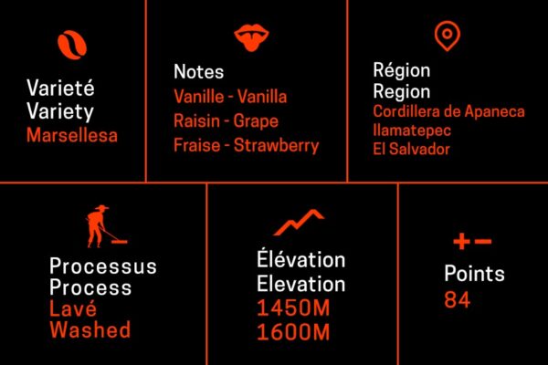 Marsellesa des Marsellesa