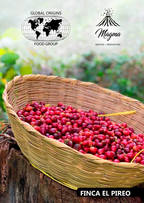 Marsellesa1 Marsellesa