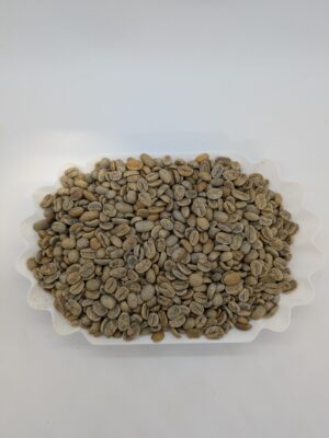 Pacamara  Black Honey - Green