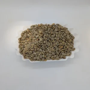 Pacamara Washed - Green