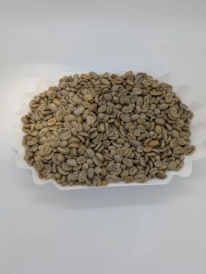 Pacamara Washed - Green