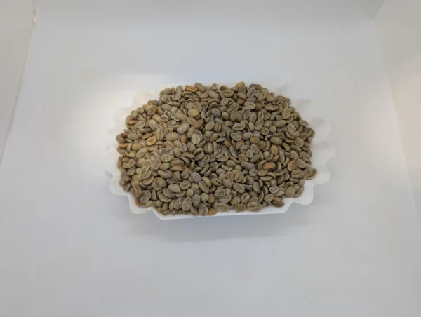 PXL_20251128_202712734.RAW-01.MP_.COVER_-scaled Pacamara Washed - Green