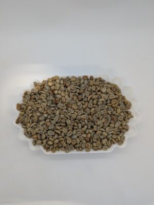 Specialty Blend - Green