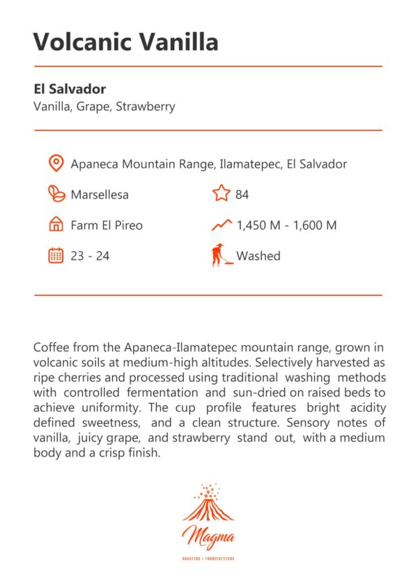 marsellesa ingles Marsellesa