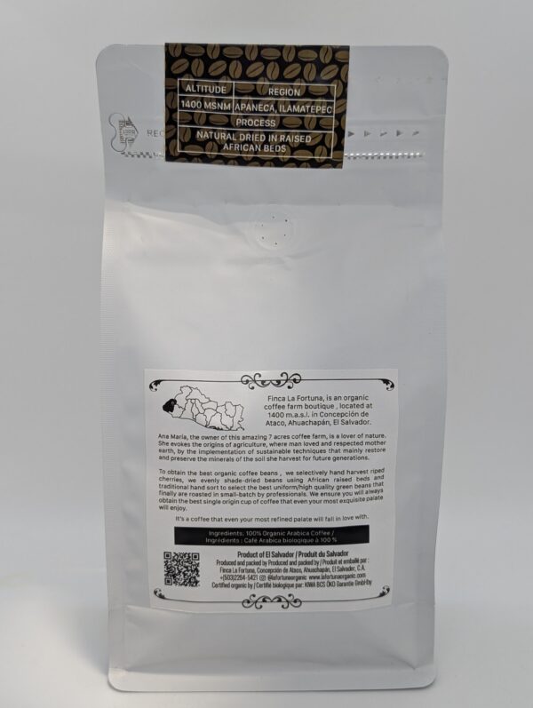 PXL_20251128_203812476.RAW-01.MP.COVER xCafé Biologique Finca La Fortuna